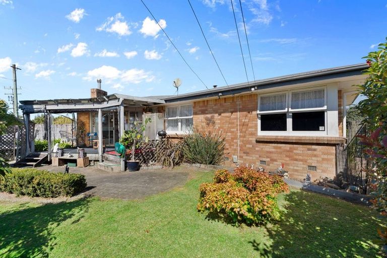 Photo of property in 163 Sandwich Road, St Andrews, Hamilton, 3200
