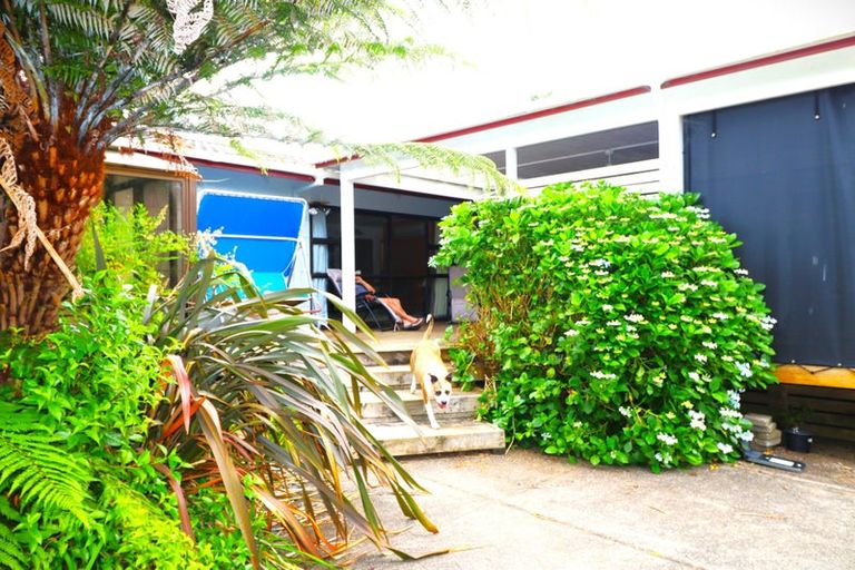 Photo of property in 365 Mill Creek Road, Kaimarama, Whitianga, 3591