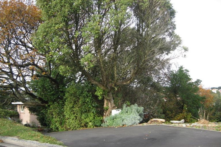 Photo of property in 78 Moana Crescent, Musselburgh, Dunedin, 9013