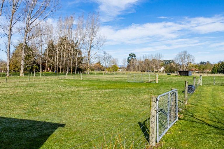 Photo of property in 16 Fergusson Street, Geraldine, 7930