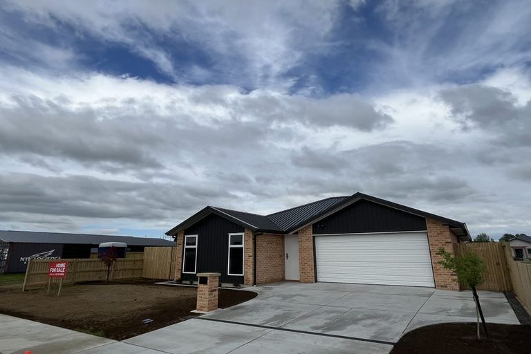 Photo of property in 25 Buxton Crescent, Matamata, 3400