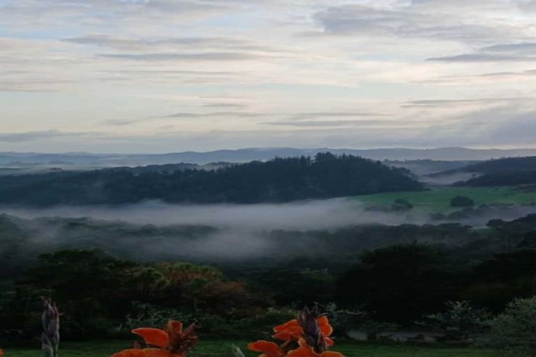 Photo of property in 945 Springfield Road, Springfield, Whangarei, 0178