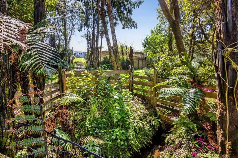 Photo of property in 17 Antonio Street, Stratford, 4332