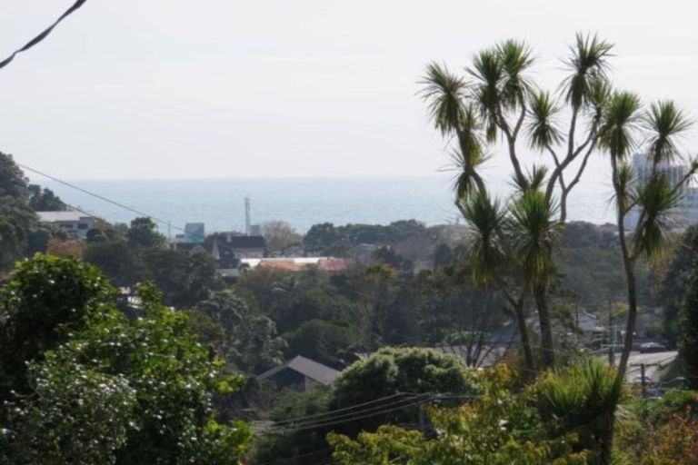 Photo of property in 79 Carrington Street, Lower Vogeltown, New Plymouth, 4310