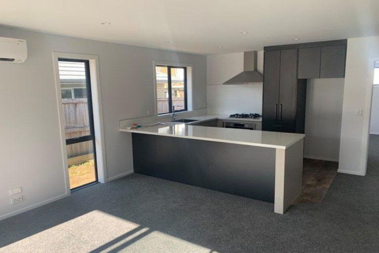 Photo of property in 1/159 Ellicott Road, Hamilton