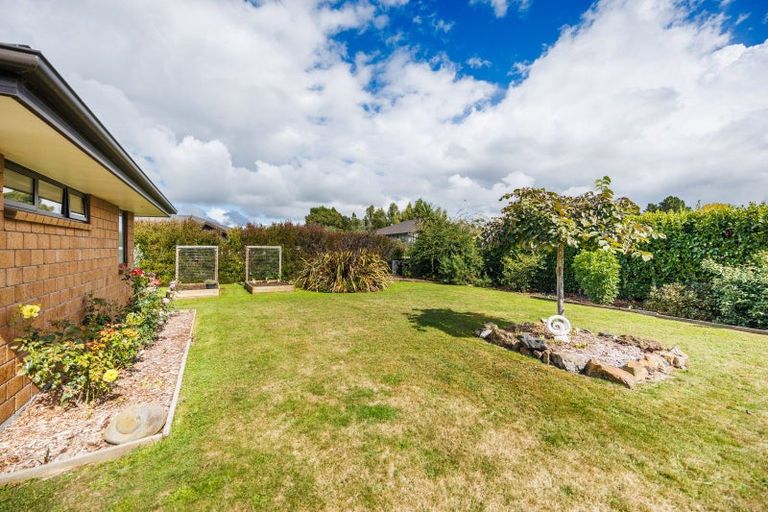 Photo of property in 4 Whio Avenue, Feilding, 4775