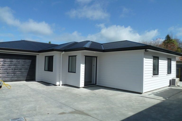 Photo of property in 32a Seddon Street, Takaro, Palmerston North, 4412