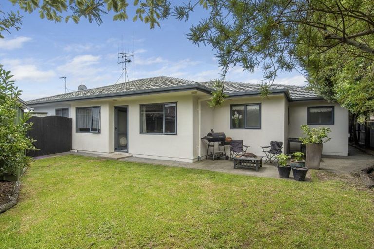 Photo of property in 63 Solomon Street, Brookfield, Tauranga, 3110