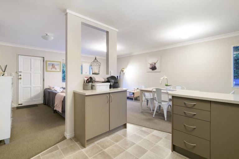 Photo of property in 74a Hammond Street, Hairini, Tauranga, 3112