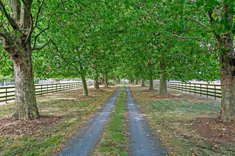 Photo of property in 1204 Kaipaki Road, Cambridge, 3495