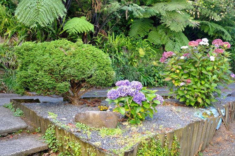 Photo of property in 8a Jenkinson Street, Waihi Beach, 3611