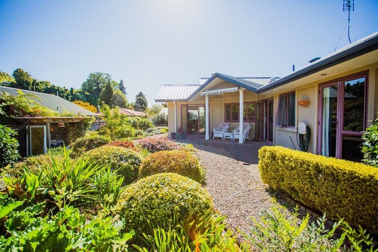 Photo of property in 18a Williamson Street, Cambridge, 3434