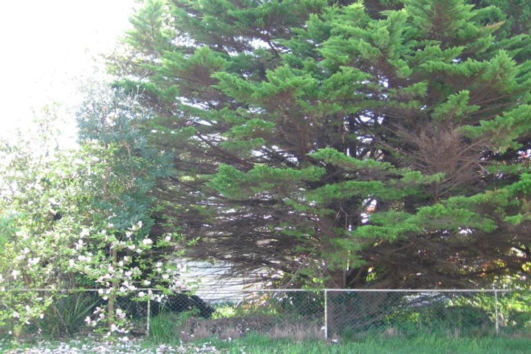 Photo of property in 33 Shirley Street, Mangakakahi, Rotorua, 3015