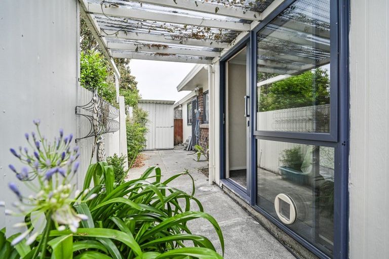 Photo of property in 4/410 Saint Aubyn, Hastings, 4122