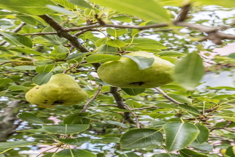 Photo of property in 173 Grant Road, Thorndon, Wellington, 6011