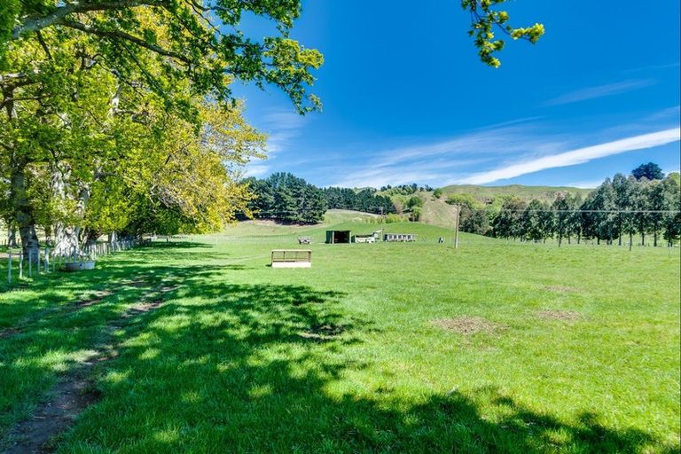 Photo of property in 858 Atua Road, Elsthorpe, 4295