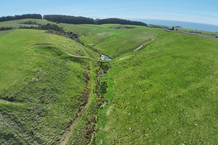 Photo of property in 205 Otokia-kuri Bush Road East, Kuri Bush, Dunedin, 9091