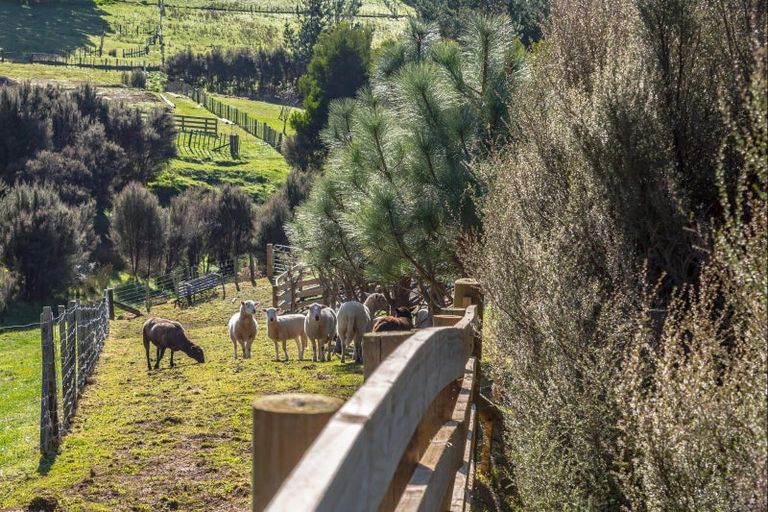 Photo of property in 132 Mount Holdsworth Road, Mount Holdsworth, Carterton, 5791