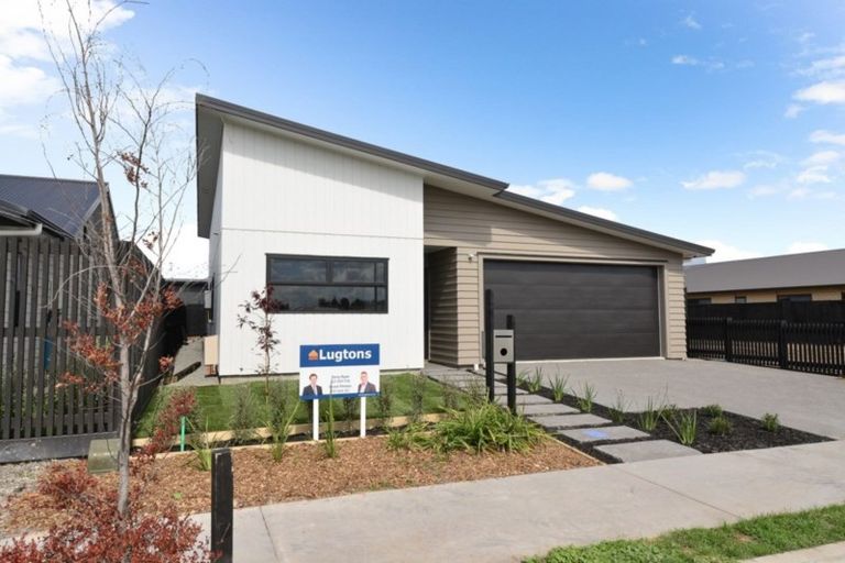 Photo of property in 38 Capper Crescent, Chartwell, Hamilton, 3210