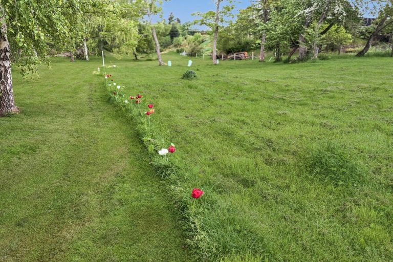 Photo of property in 4 Allen Street, Naseby, 9396