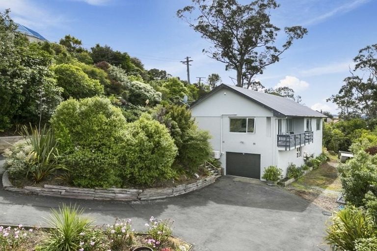 Photo of property in 17 Rotoiti Street, Maia, Dunedin, 9022