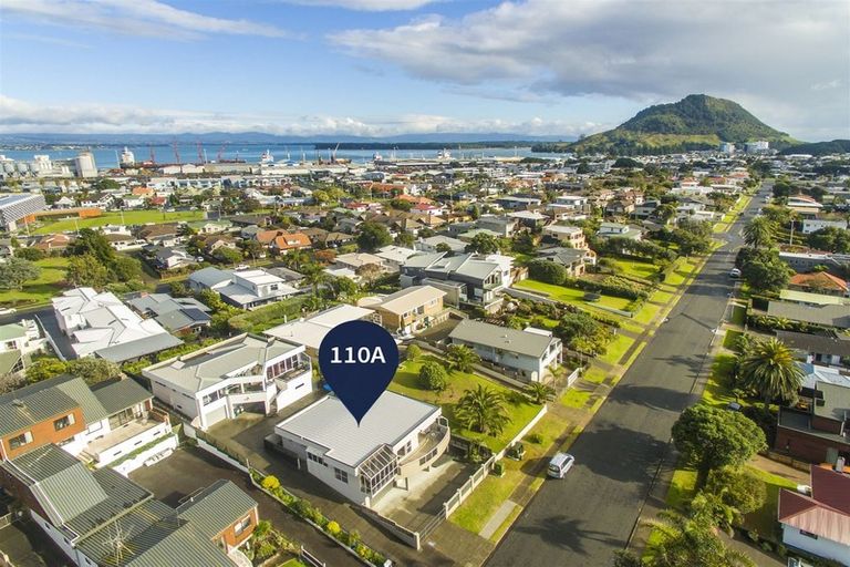 Photo of property in 110a Oceanview Road, Mount Maunganui, 3116