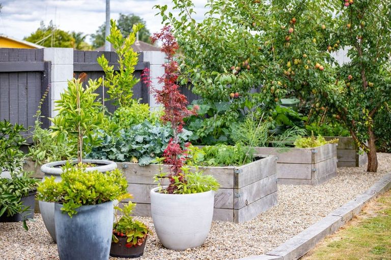 Photo of property in 1b Tomin Road, Glenview, Hamilton, 3206