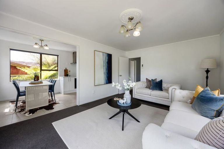 Photo of property in 56 Pelorus Street, Glenview, Hamilton, 3206