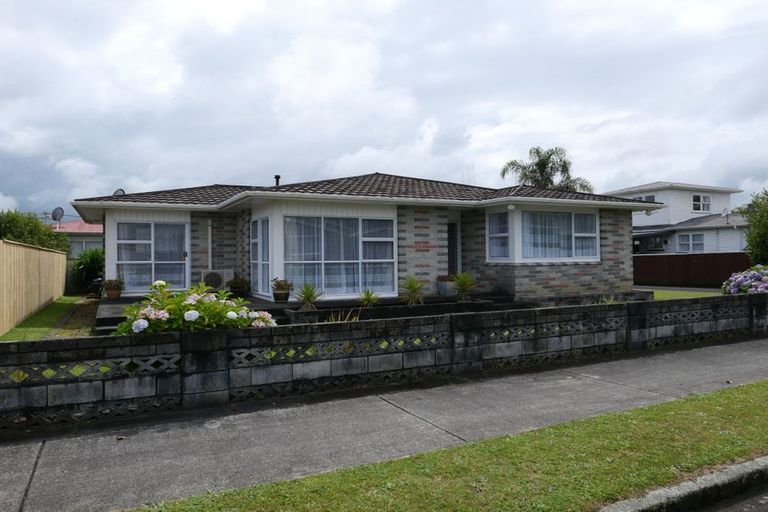 Photo of property in 1 Hadfield Street, Levin, 5510
