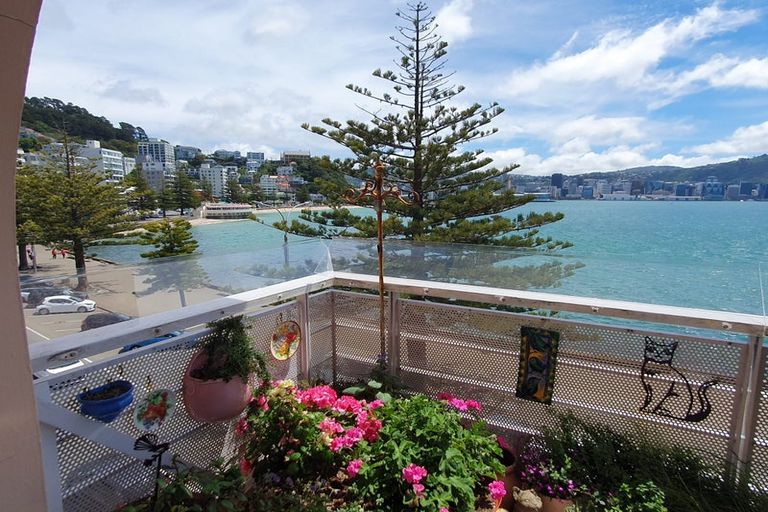 Photo of property in Inverleith House, 306 Oriental Parade, Oriental Bay, Wellington, 6011