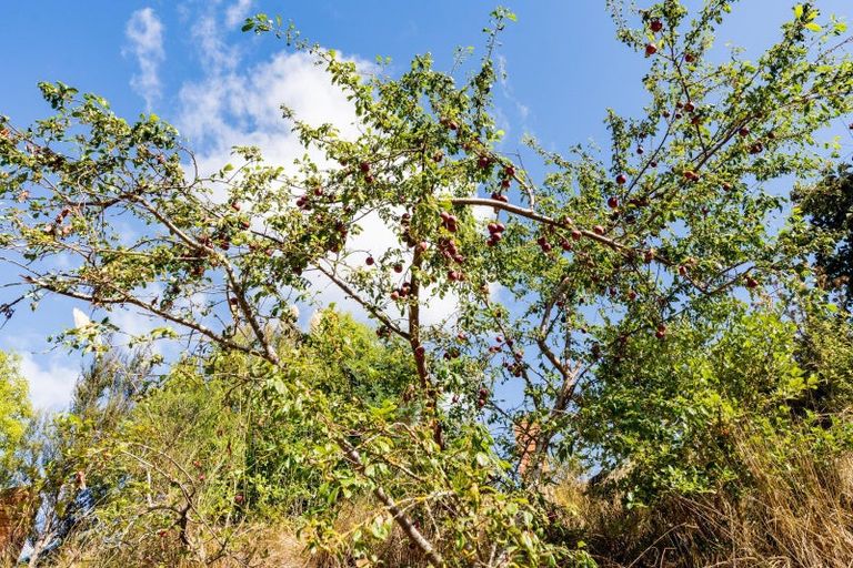 Photo of property in 7 Howorth Road, Fairfield, Dunedin, 9018