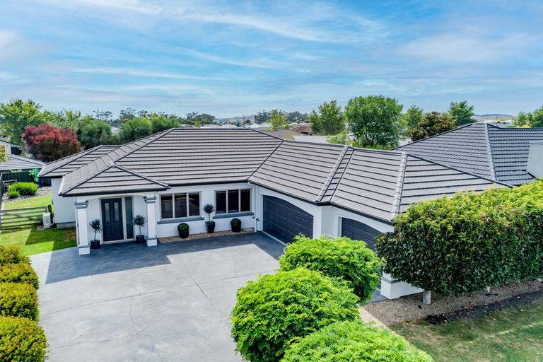 Photo of property in 19 Fairview Place, Havelock North, 4130