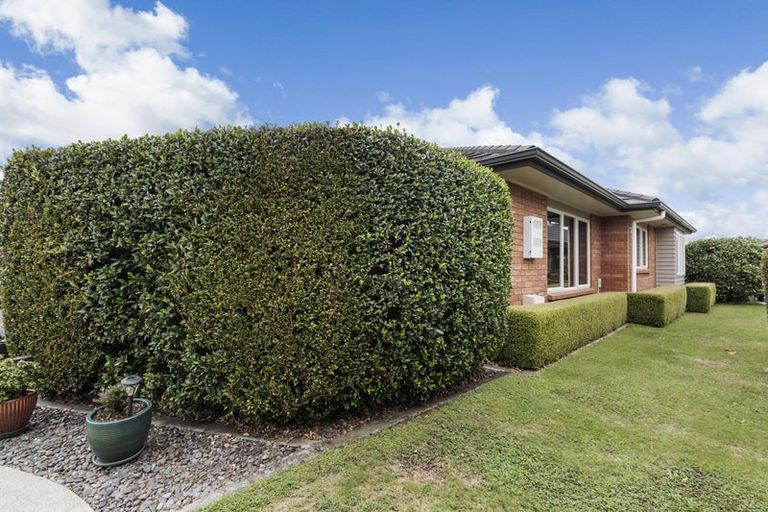 Photo of property in 10 Walter Court, Cambridge, 3434