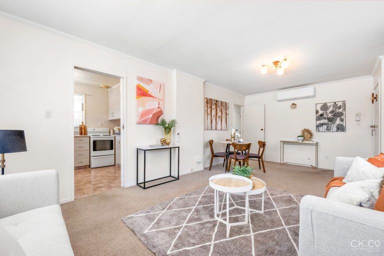 Photo of property in 19 Bloomfield Terrace, Hutt Central, Lower Hutt, 5010