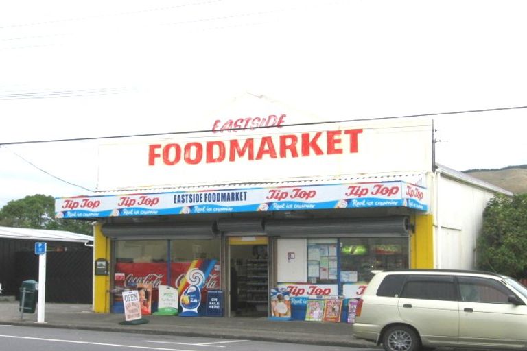 Photo of property in 14 Elizabeth Street, Waikanae, 5036