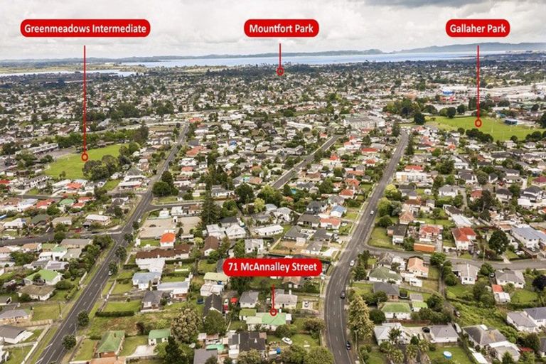 Photo of property in 71 Mcannalley Street, Manurewa East, Auckland, 2102