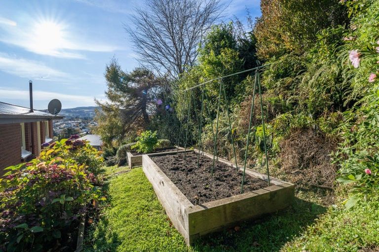 Photo of property in 53 Falcon Street, Kaikorai, Dunedin, 9010