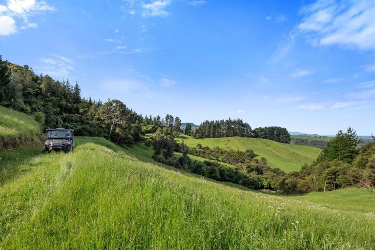 Photo of property in 225d Woodland Road, Tahawai, Katikati, 3170
