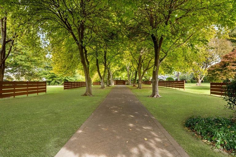 Photo of property in 59c Western Avenue, Omokoroa, 3114