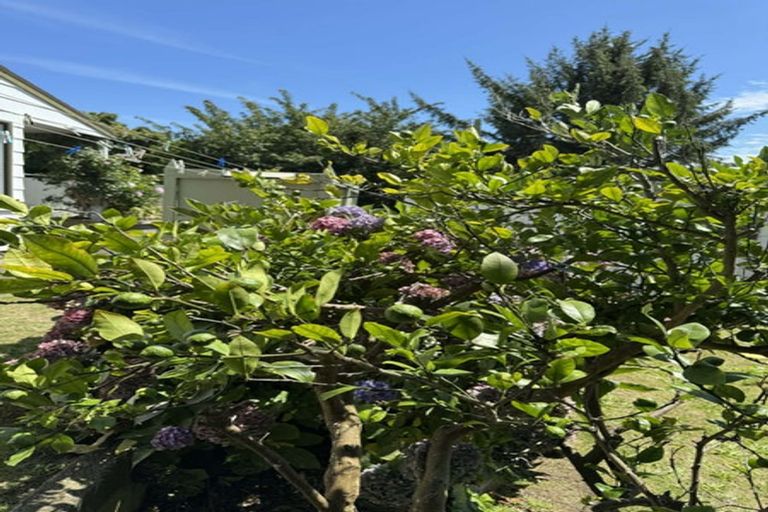 Photo of property in 19 Chums Road, Paraparaumu Beach, Paraparaumu, 5032