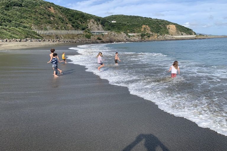 Photo of property in 10 Cave Road, Houghton Bay, Wellington, 6023