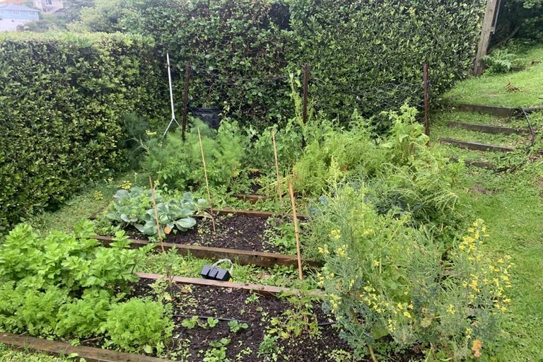 Photo of property in 10 Cave Road, Houghton Bay, Wellington, 6023