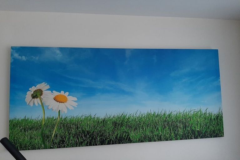 Photo of property in 2/1 Opito Way, East Tamaki, Auckland, 2013