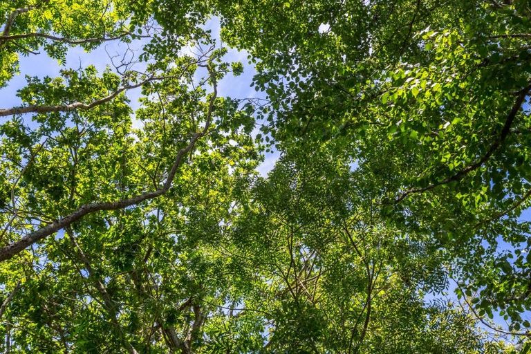 Photo of property in 15 Woodlands Way, Greytown, 5712