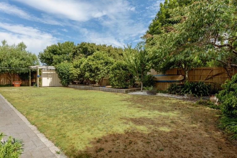 Photo of property in 49 Carlsberg Place, Papamoa Beach, Papamoa, 3118