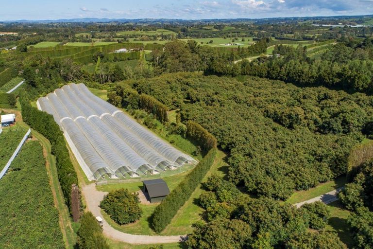 Photo of property in 44 Walker Road West, Aongatete, Katikati, 3178