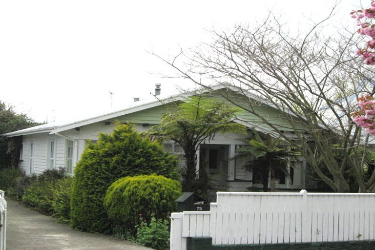 Photo of property in 75 Halifax Street East, The Wood, Nelson, 7010