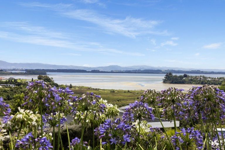 Photo of property in 70 The Drive, Brookfield, Tauranga, 3110