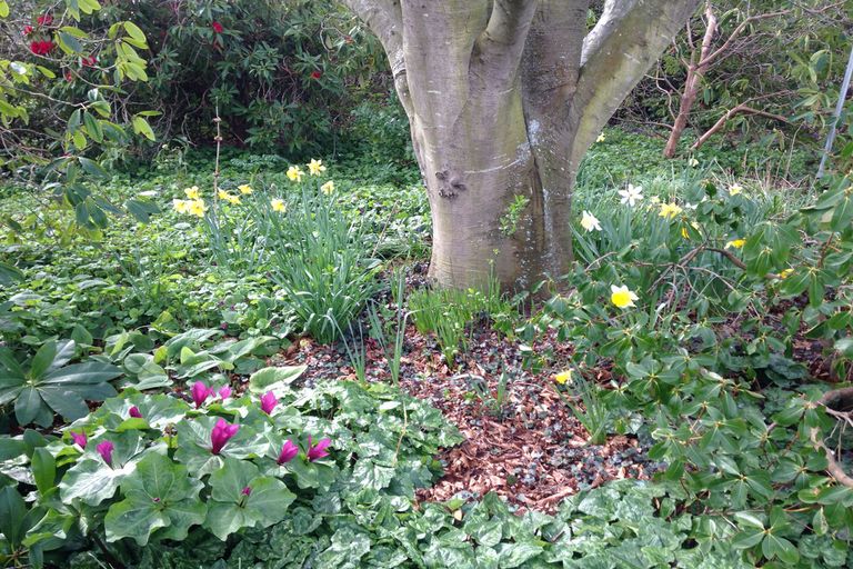 Photo of property in 82 Point Bush Road, Waimate, 7979