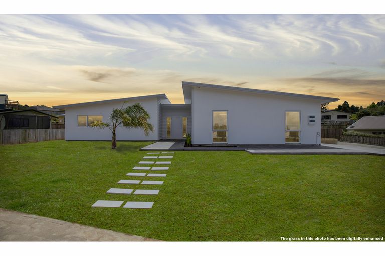 Photo of property in 31 Hartis Avenue, Huntly, 3700